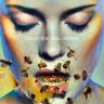Run - Collective Soul's Dosage